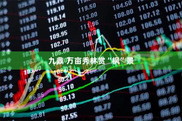 九鼎 万亩秀林赏“枫”景