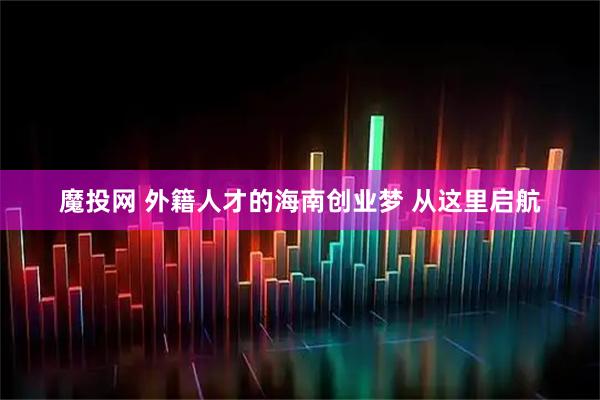 魔投网 外籍人才的海南创业梦 从这里启航