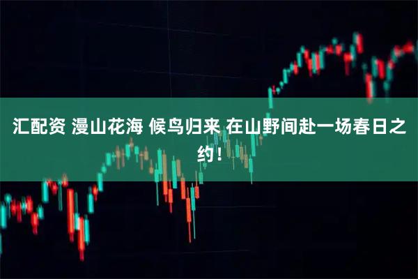 汇配资 漫山花海 候鸟归来 在山野间赴一场春日之约！